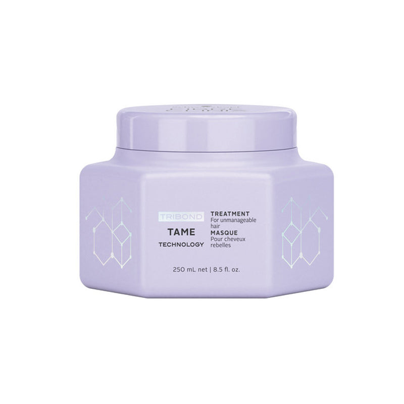 Schwarzkopf Fibre Clinix Tame Treatment 8.5oz-